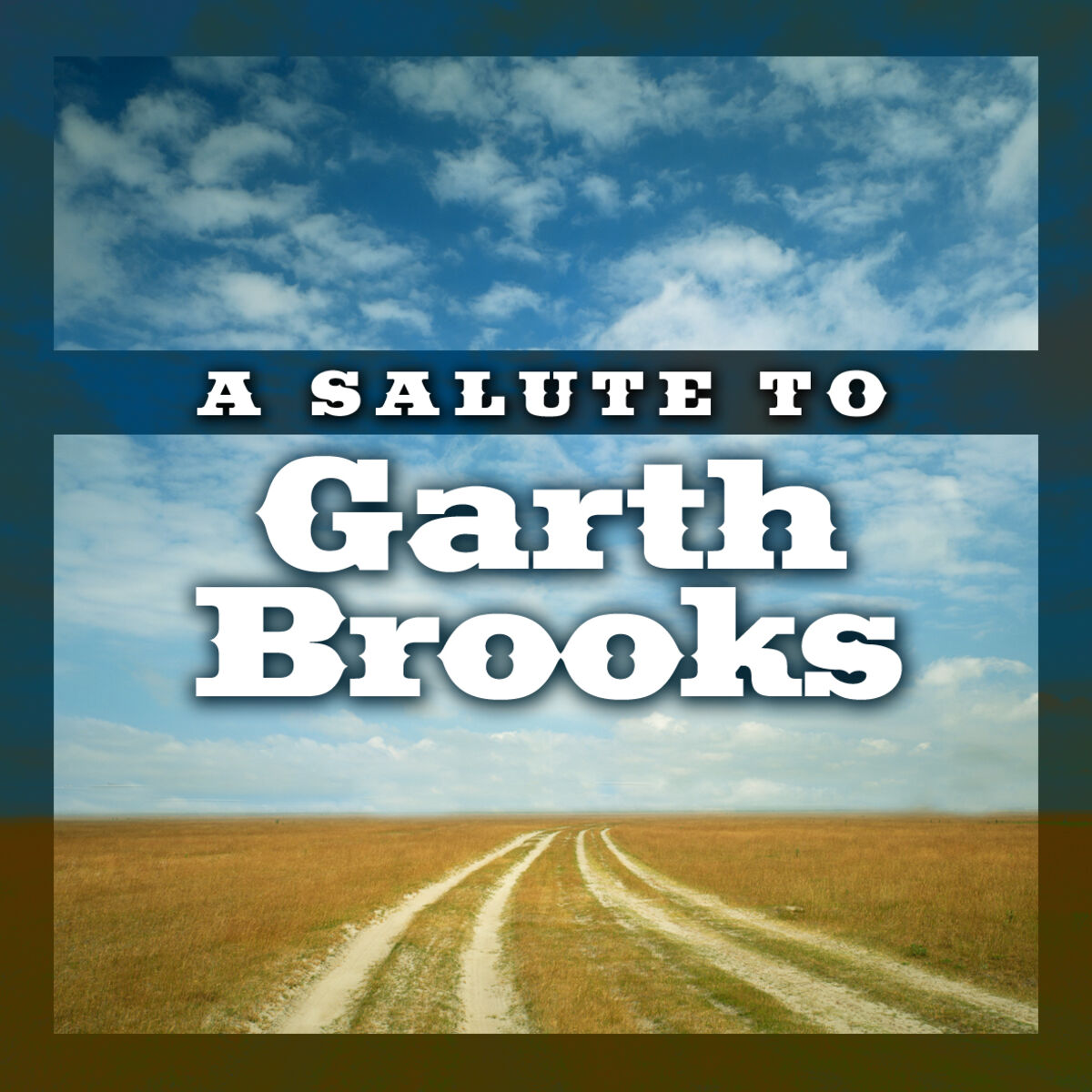 The Sounds Of Garth Brooks